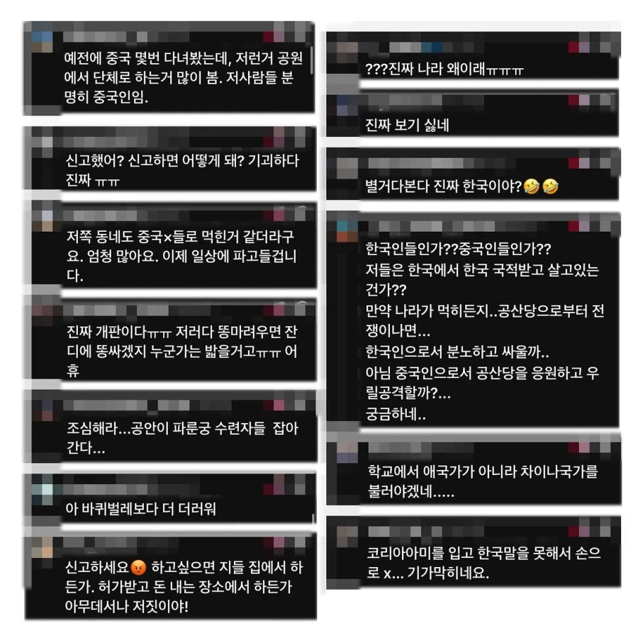 변호사가 참가하는 태극권 모임을 중국인이라 올린 악플.manwha