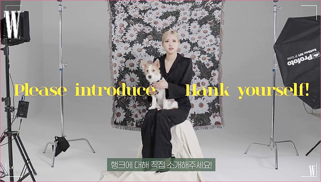 블랙핑크 로제 집안의 막내 강아지 '행크'.jpg