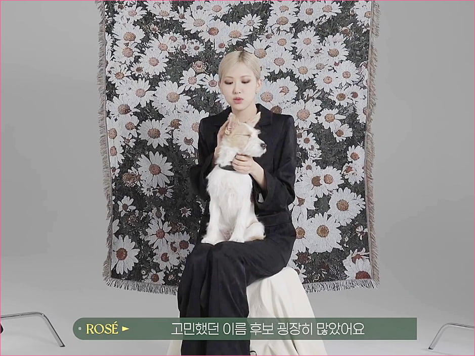 블랙핑크 로제 집안의 막내 강아지 '행크'.jpg