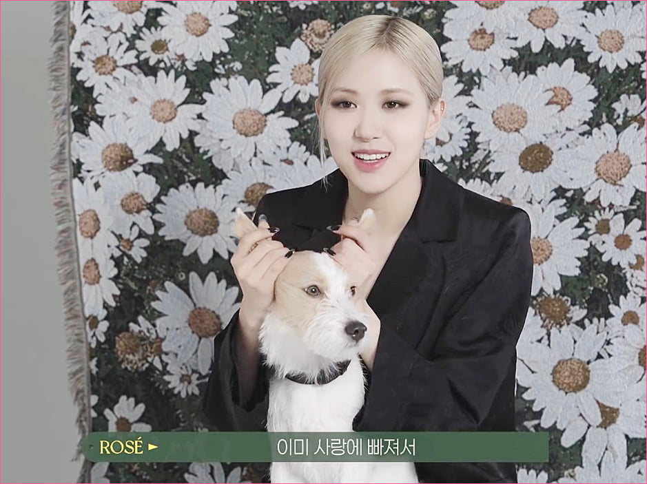 블랙핑크 로제 집안의 막내 강아지 '행크'.jpg