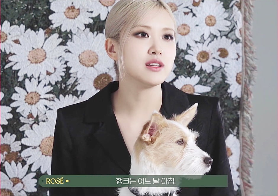 블랙핑크 로제 집안의 막내 강아지 '행크'.jpg