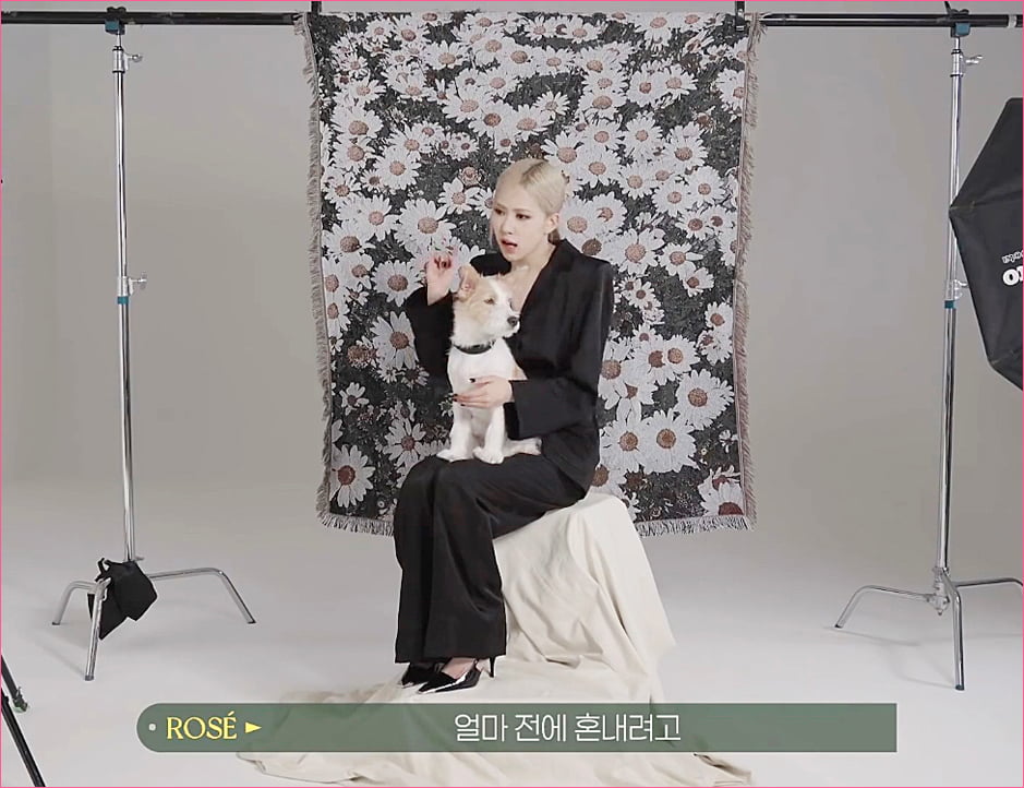 블랙핑크 로제 집안의 막내 강아지 '행크'.jpg