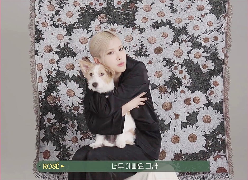 블랙핑크 로제 집안의 막내 강아지 '행크'.jpg