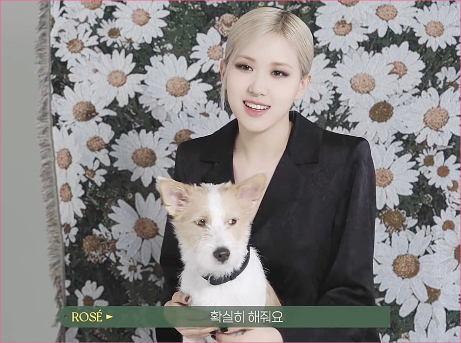 블랙핑크 로제 집안의 막내 강아지 '행크'.jpg