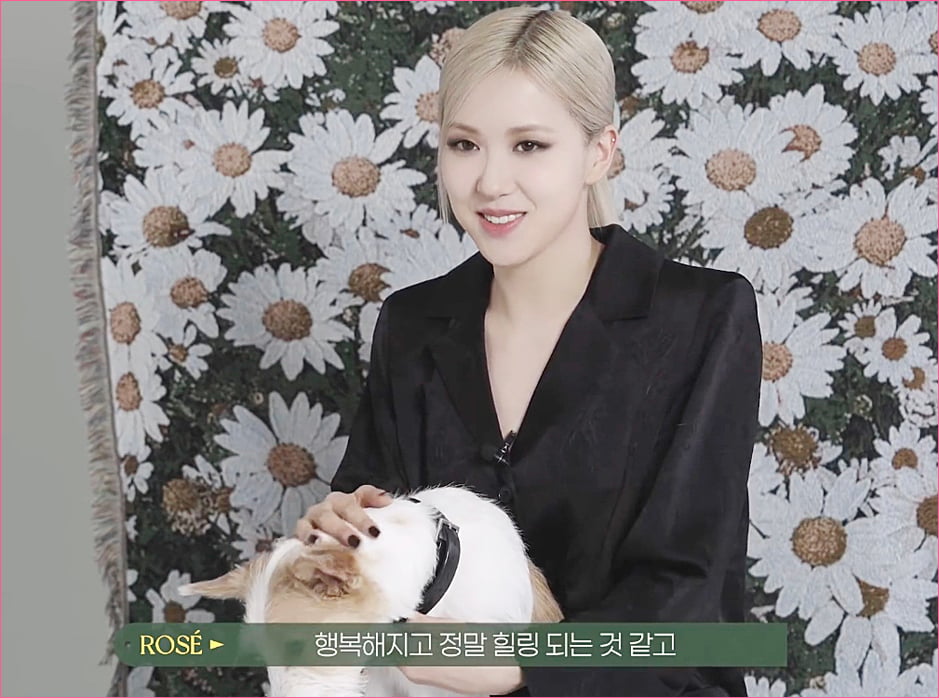 블랙핑크 로제 집안의 막내 강아지 '행크'.jpg