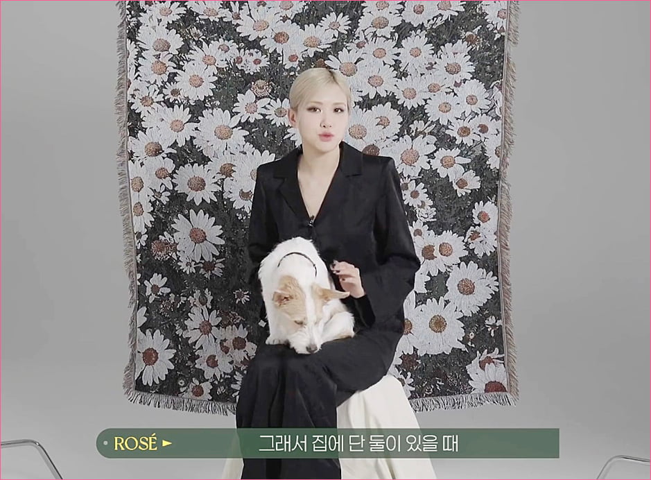 블랙핑크 로제 집안의 막내 강아지 '행크'.jpg