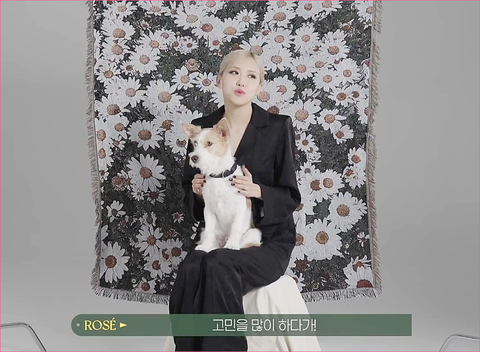 블랙핑크 로제 집안의 막내 강아지 '행크'.jpg
