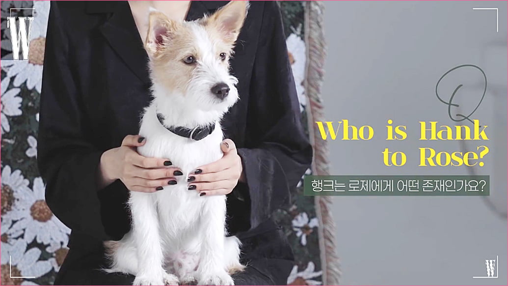 블랙핑크 로제 집안의 막내 강아지 '행크'.jpg