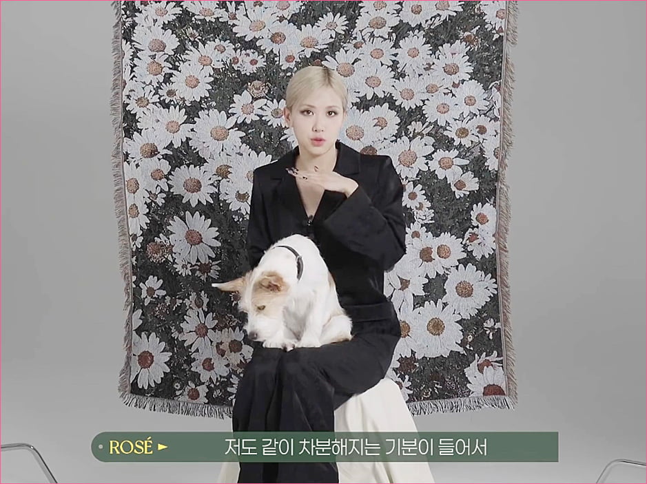블랙핑크 로제 집안의 막내 강아지 '행크'.jpg