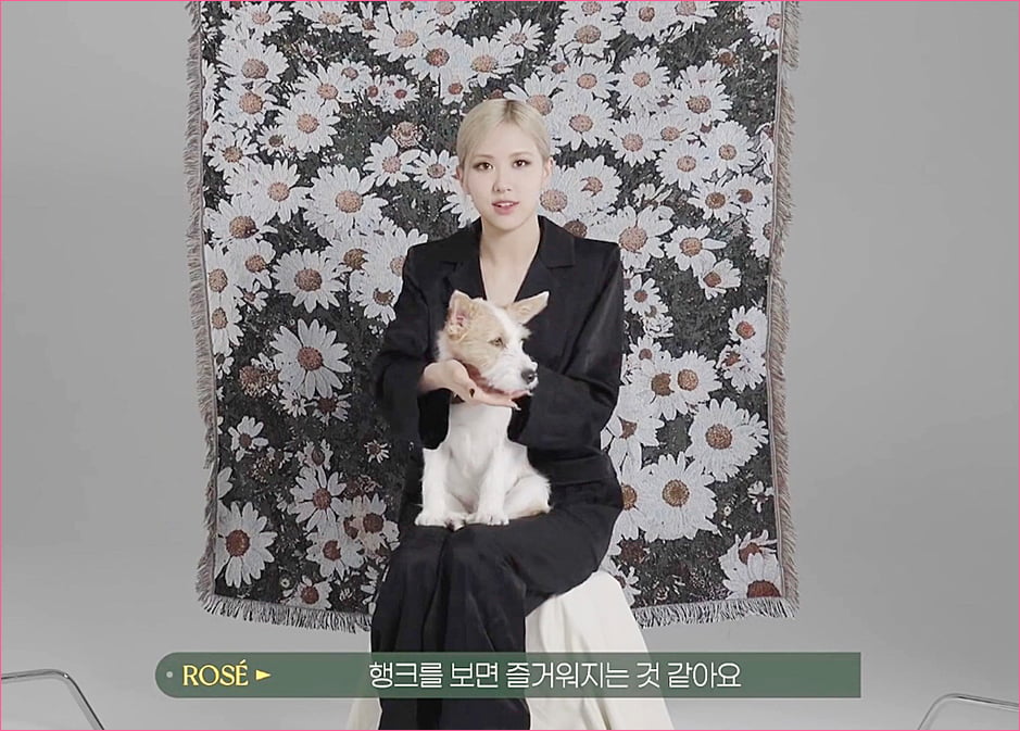 블랙핑크 로제 집안의 막내 강아지 '행크'.jpg
