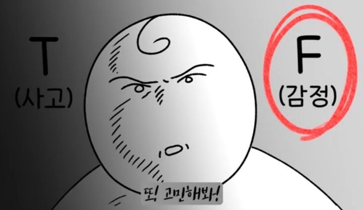 주짓수 등록 전에 MBTI 해봐야 하는 이유