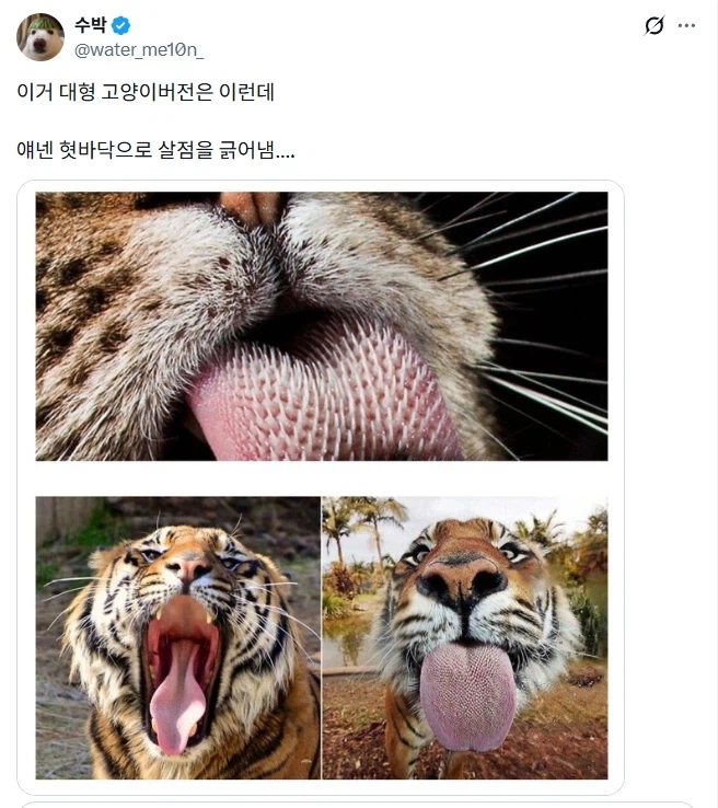 고양이가 삶은계란 핥고 간 흔적.jpg