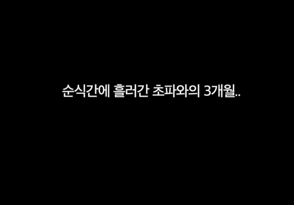 구조견 임보하다가 입양한 손태영💚권상우 부부