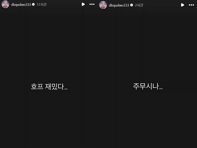 호프 같은 감상 다른 반응
