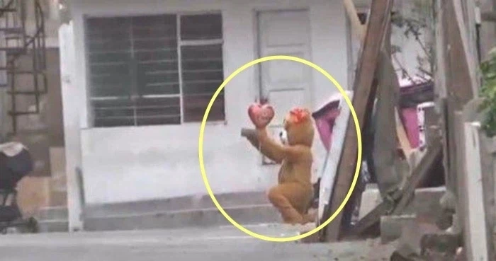 미인계보다 더 무서운 곰돌이계로 마.약 범죄자들을 체포한 곰돌이