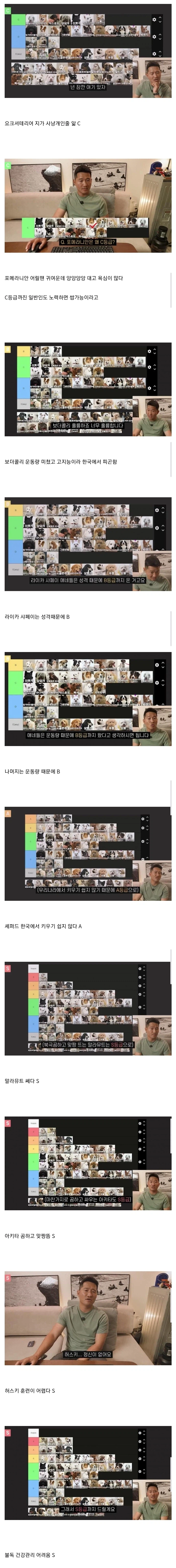 강형욱이 선정한 견종 난이도 티어리스트.tear