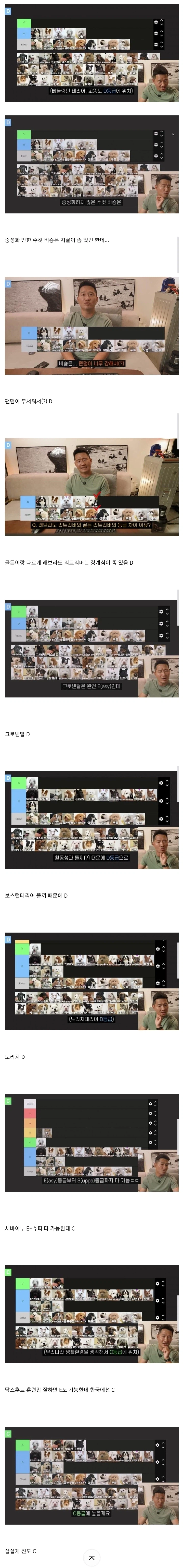강형욱이 선정한 견종 난이도 티어리스트.tear