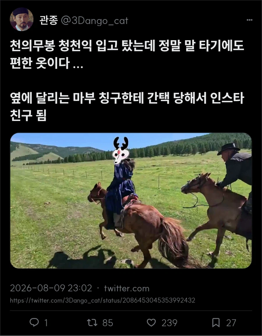 청천익 입고 말 타기