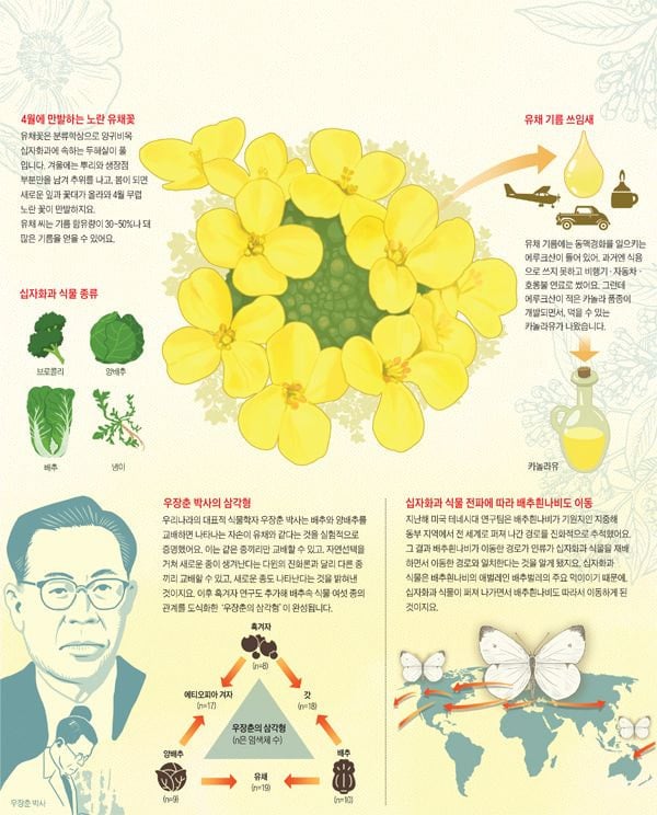 친일파의 아들이자 세계적인 업적을 이룬 과학자
