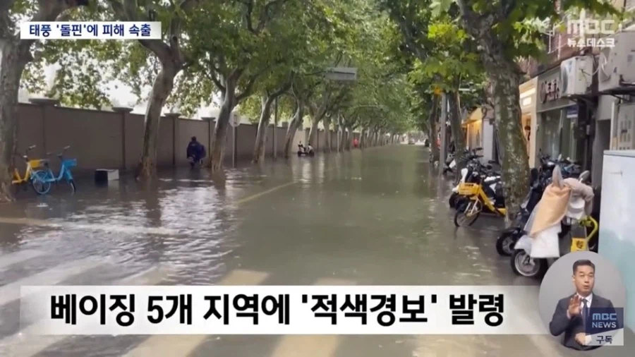 상하이 박살내고 이동중인 돌핀 근황