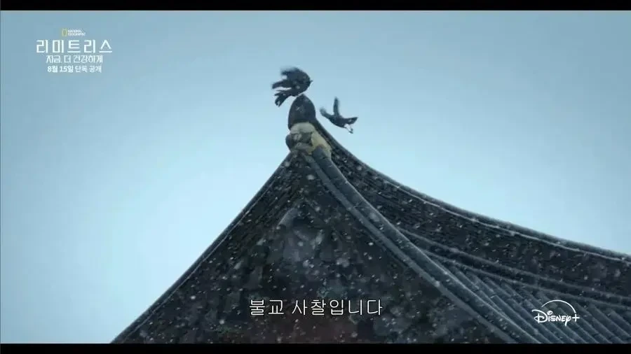 디즈니가 생각하는 한국 불교의 모습