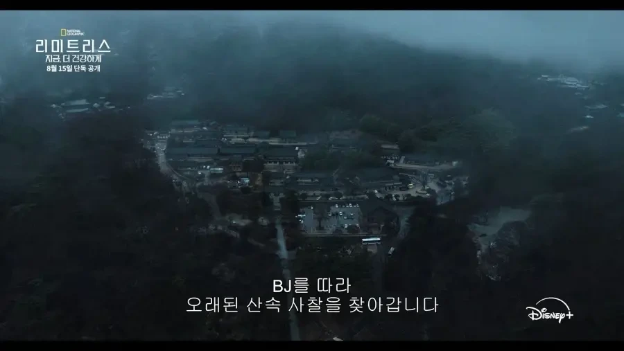 디즈니가 생각하는 한국 불교의 모습