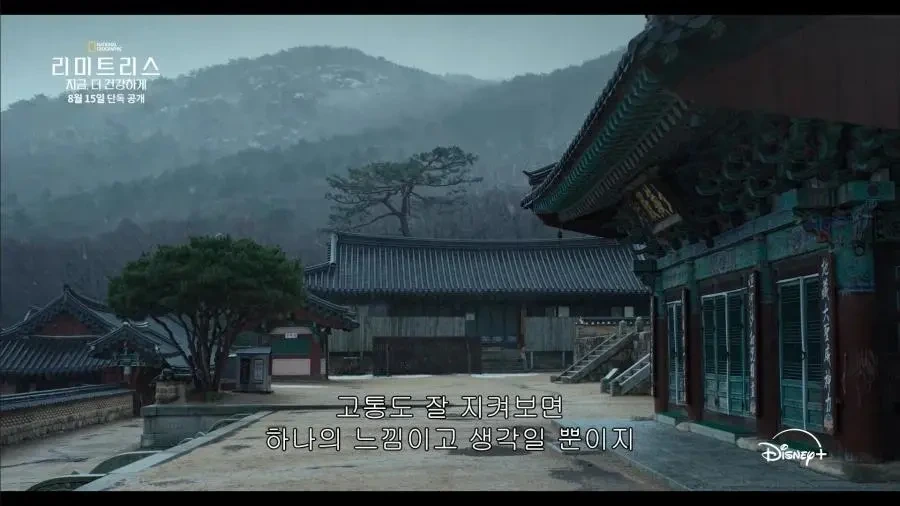 디즈니가 생각하는 한국 불교의 모습