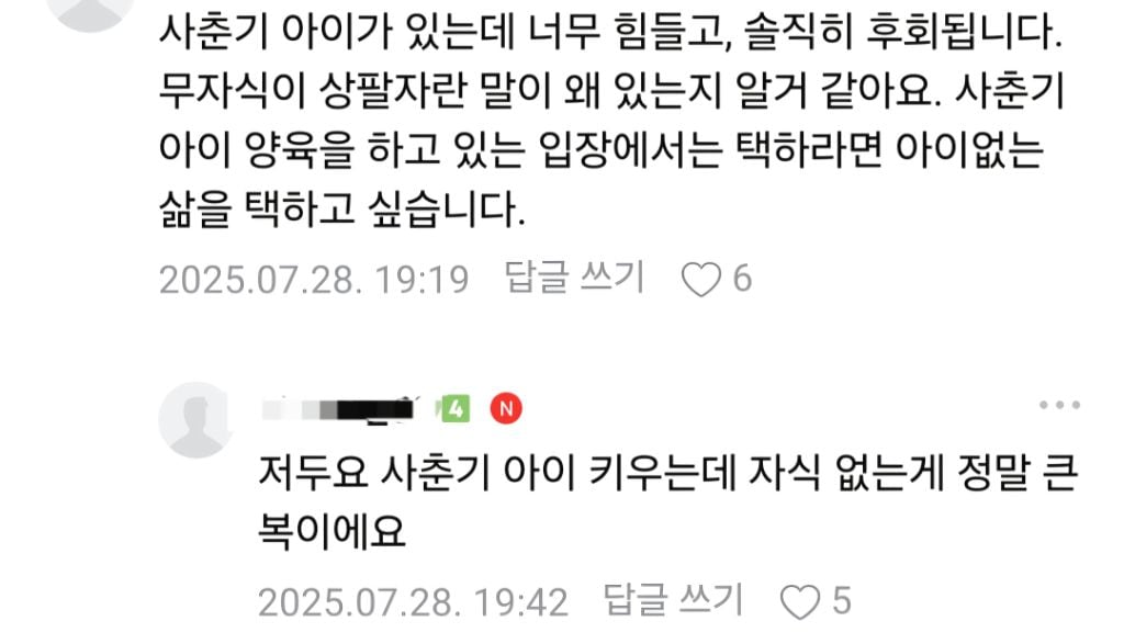 나이있는 미혼,딩크분들 자식없는 삶 후회하나요? (현재 맘카페 댓글 300개 넘는 글)