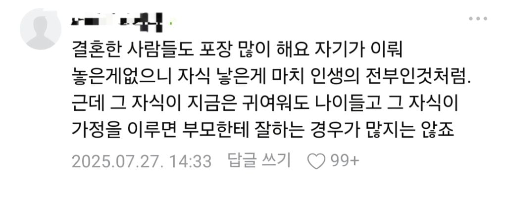 나이있는 미혼,딩크분들 자식없는 삶 후회하나요? (현재 맘카페 댓글 300개 넘는 글)