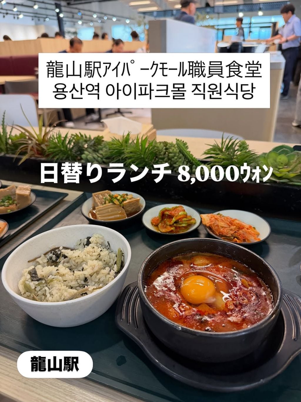 한국에서 특이한 여행을 하는 일본인.jpg