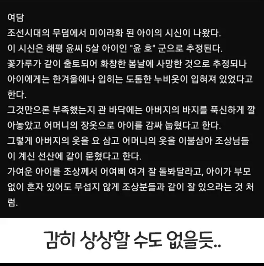 예법이 따로 없다는 아기장례식