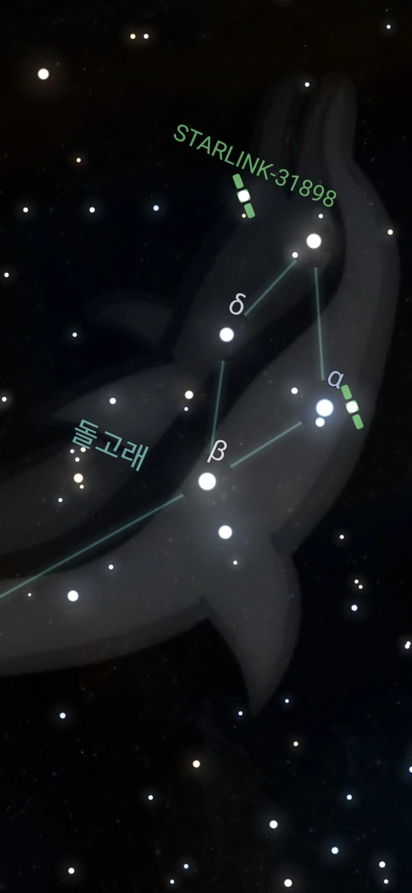유성우 찍고싶었는데 별만 잔뜩 찍고왔네