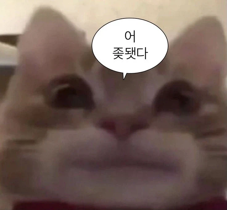 블루아카일섭스포) 냉정하게 생각해보니까