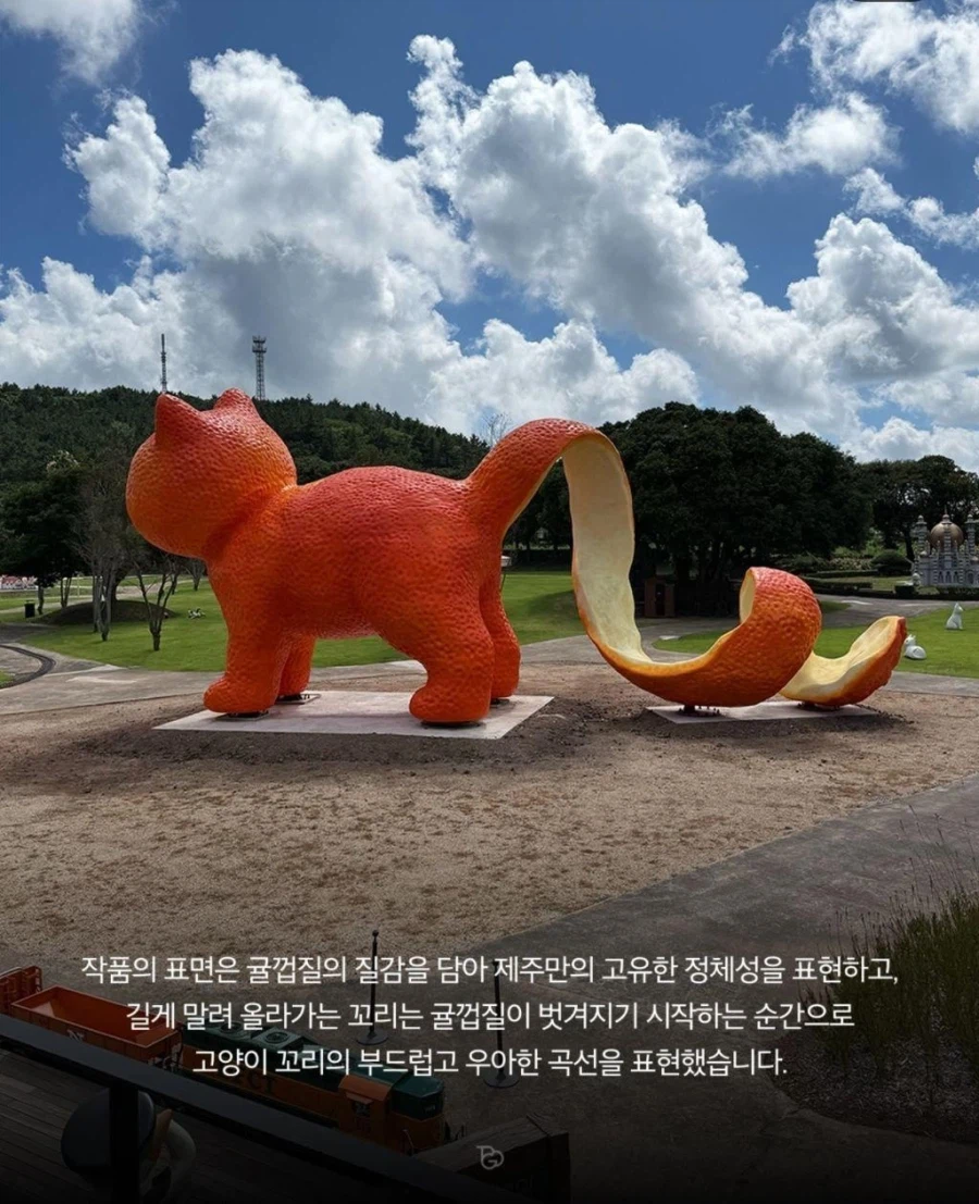 제주도에 나타난 거대 고양이.JPG
