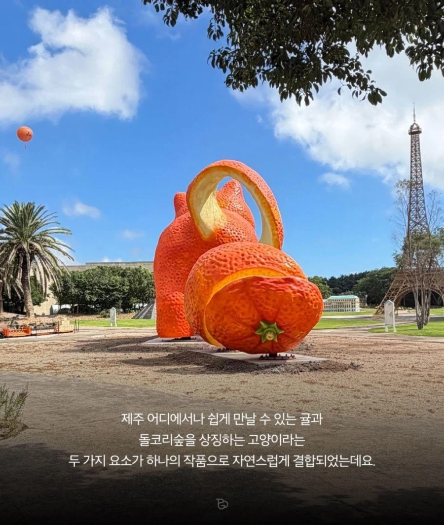 제주도에 나타난 거대 고양이.JPG