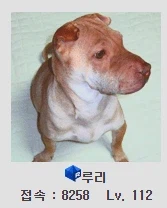 이 어르신 말씀대로라면 말야!!