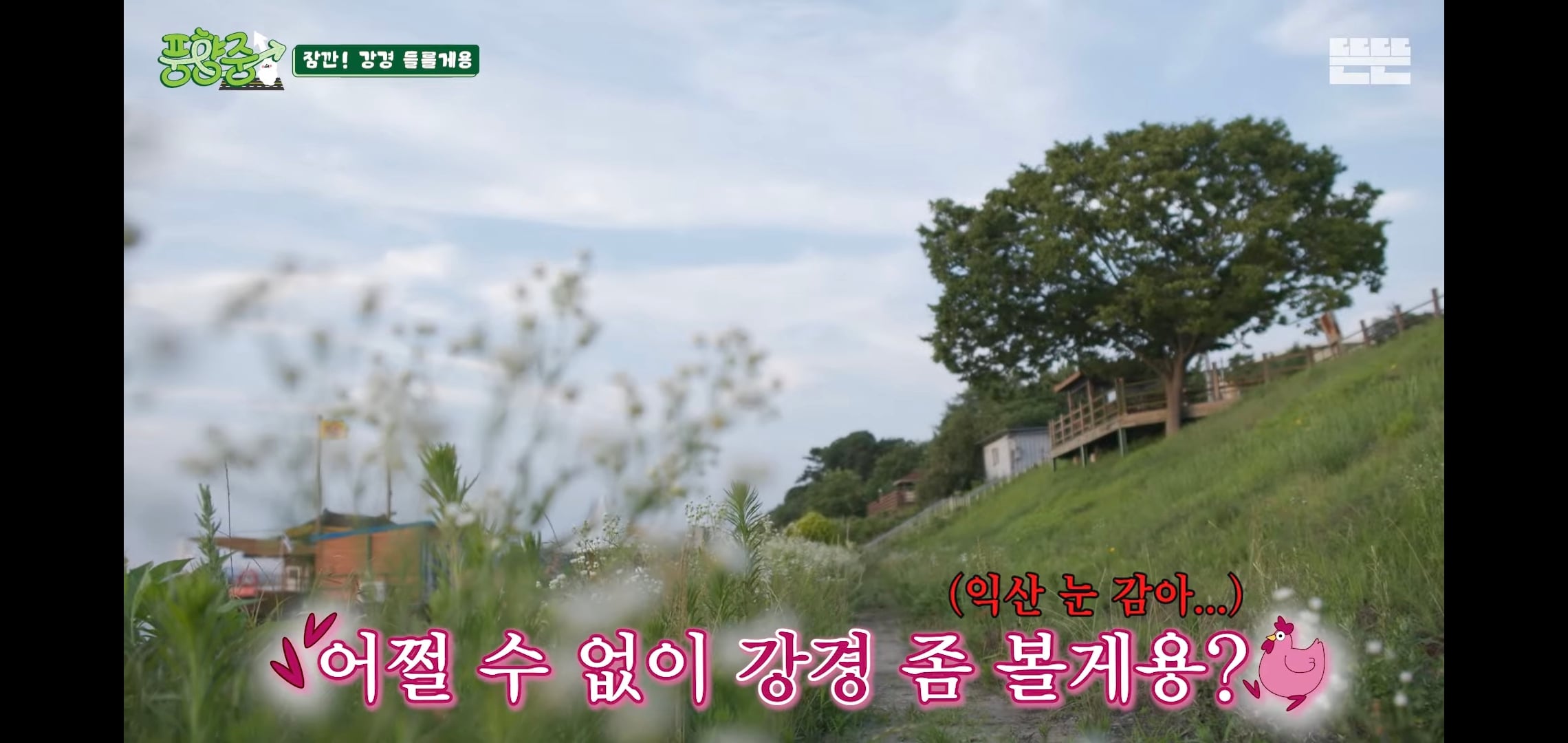 오늘자 핑계고 풍향중에서 즉흥적으로 들렀다가 출연진들 충격받은 지역.jpg