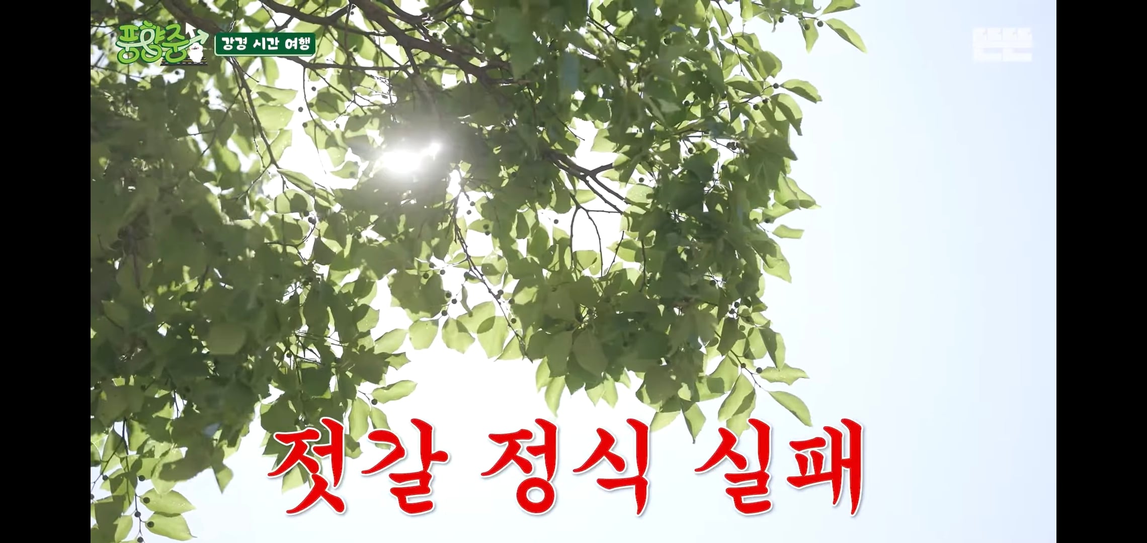 오늘자 핑계고 풍향중에서 즉흥적으로 들렀다가 출연진들 충격받은 지역.jpg