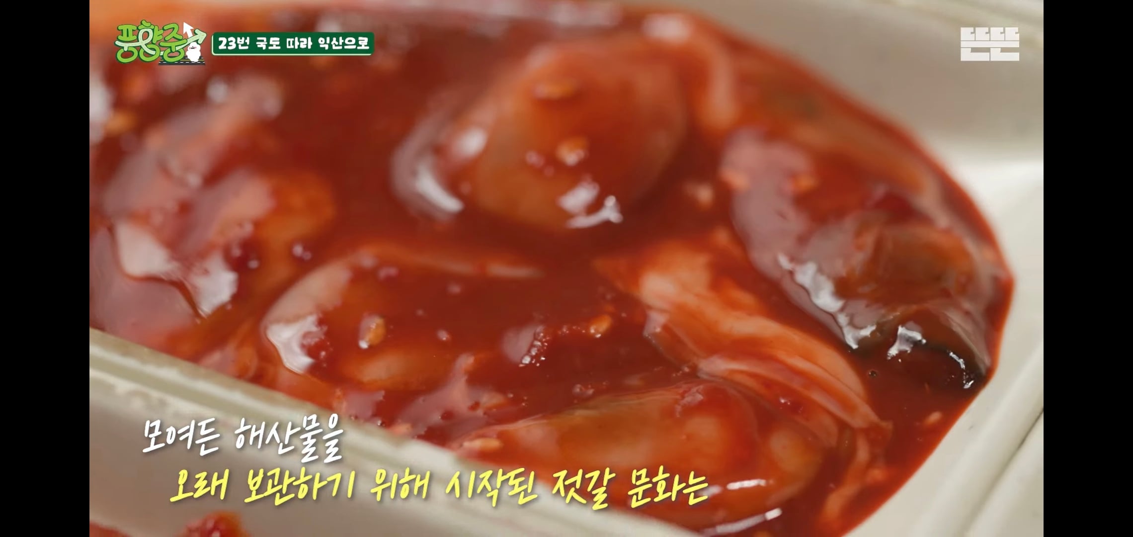 오늘자 핑계고 풍향중에서 즉흥적으로 들렀다가 출연진들 충격받은 지역.jpg