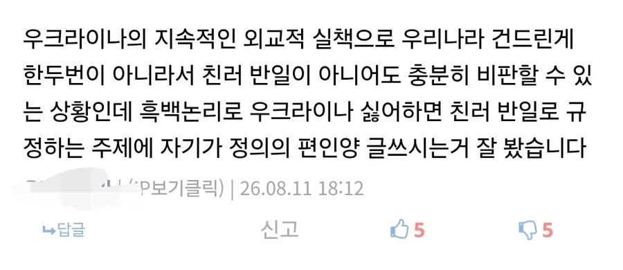 우크라이나 관련 글 쓸때 특징
