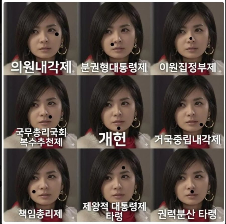 아 진짜 내각제 아니라니까