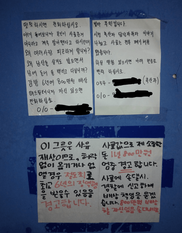 캣맘에게 잘못걸린 디시인