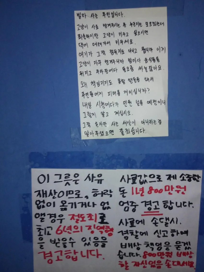캣맘에게 잘못걸린 디시인