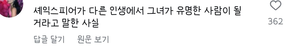 셰익스피어 작가 닮은걸로 유명한 앤 해서웨이 남편
