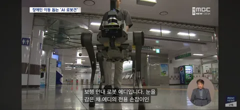 시각장애인 ‘새 눈’ 될까...'AI 안내견'