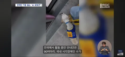 시각장애인 ‘새 눈’ 될까...'AI 안내견'