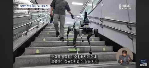 시각장애인 ‘새 눈’ 될까...'AI 안내견'