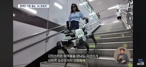 시각장애인 ‘새 눈’ 될까...'AI 안내견'