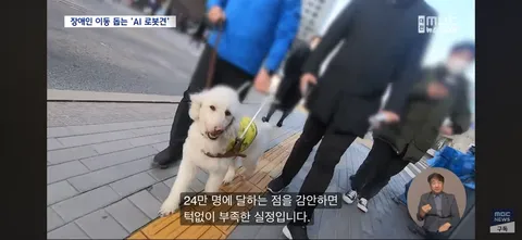 시각장애인 ‘새 눈’ 될까...'AI 안내견'