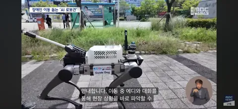 시각장애인 ‘새 눈’ 될까...'AI 안내견'